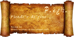 Pintér Írisz névjegykártya